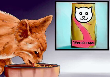 жир в корме